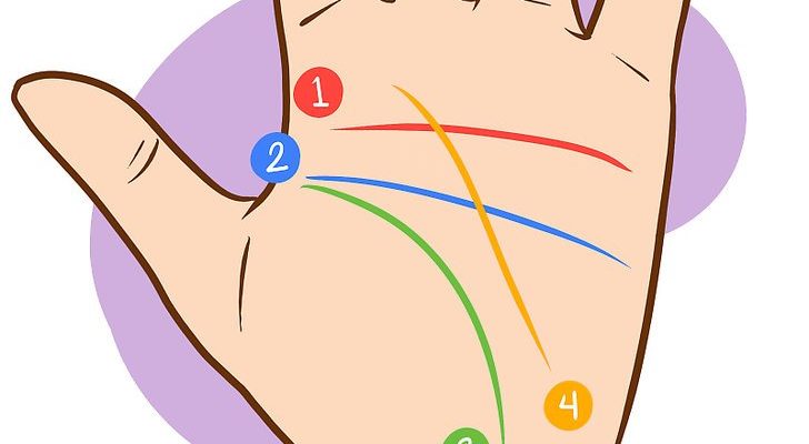 دليل المبتدئين الكامل في قراءة الكف بوش عربية